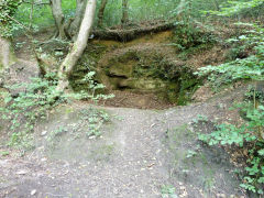 Small quarry, Blackwood, August 2012